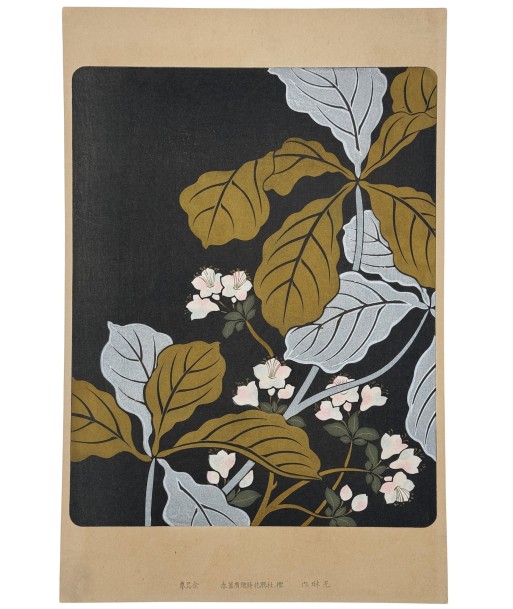 Estampe Japonaise Ecole Rinpa | Feuilles argent et or en ligne