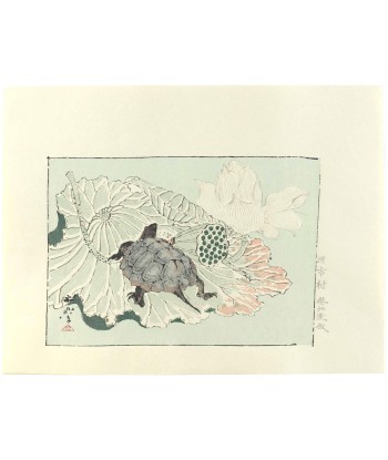 Estampe Japonaise de Kyosai | Tortue sur fleur de lotus est présent 