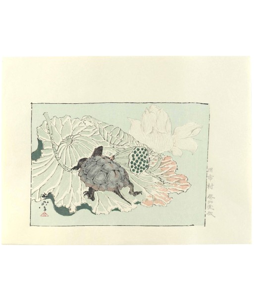 Estampe Japonaise de Kyosai | Tortue sur fleur de lotus est présent 