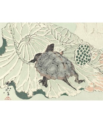 Estampe Japonaise de Kyosai | Tortue sur fleur de lotus est présent 