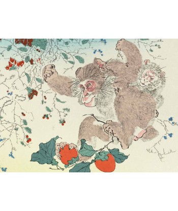 Estampe Japonaise de Kyosai | Singes et kaki le concept de la Pate a emporter 