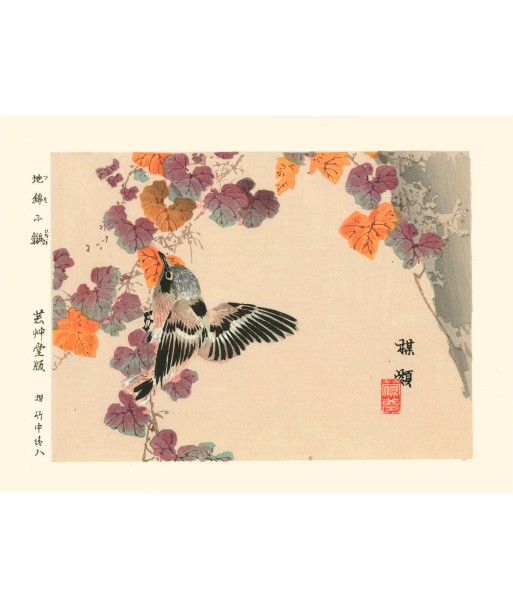 Oiseau à l'automne de Kono Bairei | Reproduction Fine Art JUSQU'A -70%! 