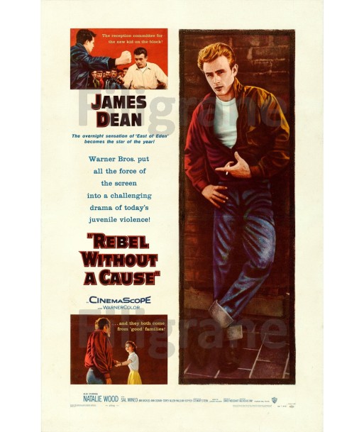 REBEL WITHOUT a CAUSE FILM Rkhb POSTER/REPRODUCTION  d1 AFFICHE VINTAGE Fin de série