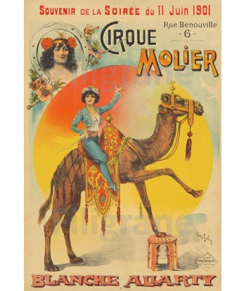 CIRQUE MOLIER B. ALLARTY Rdhn-POSTER/REPRODUCTION  d1 AFFICHE VINTAGE l'achat 