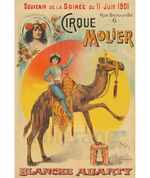 CIRQUE MOLIER B. ALLARTY Rdhn-POSTER/REPRODUCTION  d1 AFFICHE VINTAGE l'achat 