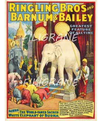 CIRQUE RINGLING BROS BARNUM Rjkb-POSTER/REPRODUCTION  d1 AFFICHE VINTAGE s'inspire de l'anatomie humaine