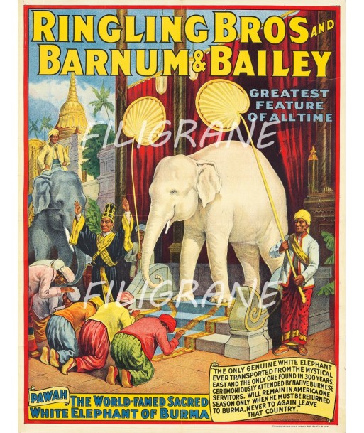 CIRQUE RINGLING BROS BARNUM Rjkb-POSTER/REPRODUCTION  d1 AFFICHE VINTAGE s'inspire de l'anatomie humaine