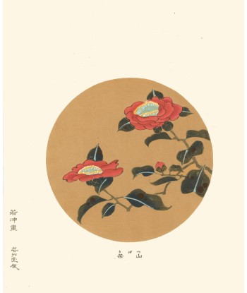 Camelia Tsubaki  de Jakuchu Ito | Reproduction Fine Art pas chere