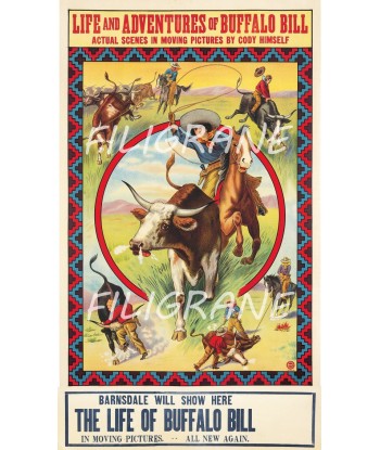 SPECTACLE BUFFALO BILL Rzbc-POSTER/REPRODUCTION  d1 AFFICHE VINTAGE Vous souhaitez 