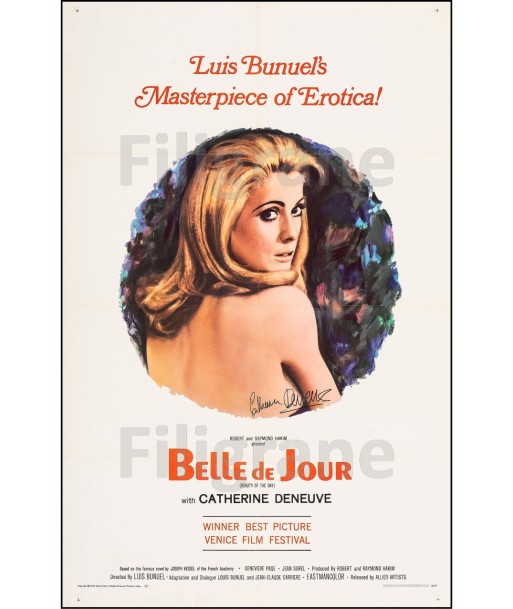 BELLE de JOUR FILM Rvxl-POSTER/REPRODUCTION d1 AFFICHE VINTAGE ou a consommer sur place