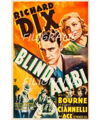 BLIND ALIBI FILM Rmag-POSTER/REPRODUCTION d1 AFFICHE VINTAGE en linge