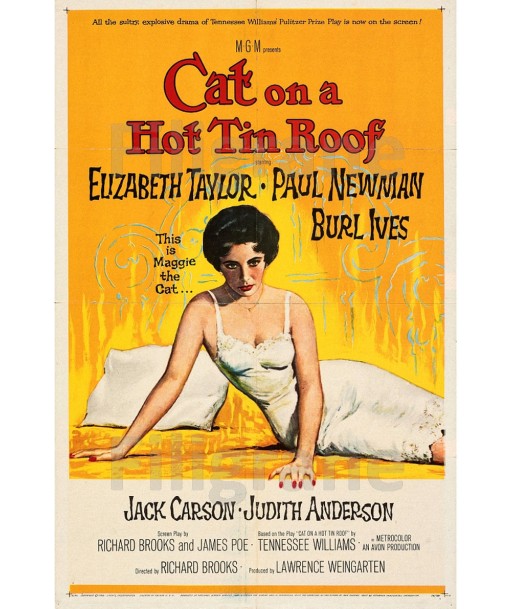 CINéMA CAT on a HOT TIN ROOF Rgfs-POSTER/REPRODUCTION d1 AFFICHE VINTAGE brillant des détails fins