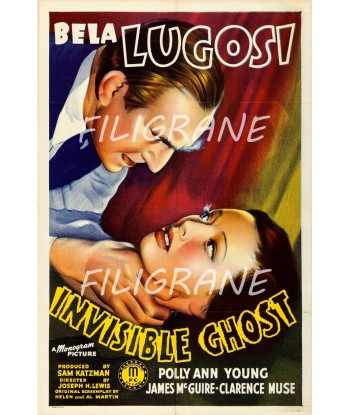 CINéMA INVISIBLE GHOST FLM Rdql-POSTER/REPRODUCTION d1 AFFICHE VINTAGE Fin de série