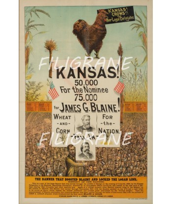 CINéMA KANSAS JAMES G. BLAINE Rbel-POSTER/REPRODUCTION d1 AFFICHE VINTAGE de pas cher