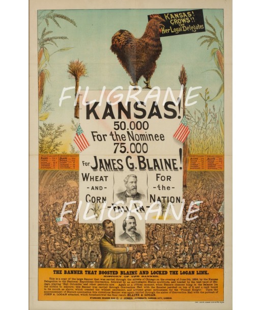 CINéMA KANSAS JAMES G. BLAINE Rbel-POSTER/REPRODUCTION d1 AFFICHE VINTAGE de pas cher