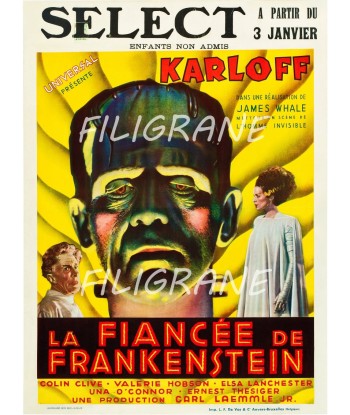 CINéMA LA FIANCéE de FRANKENSTEIN Rdac-POSTER/REPRODUCTION d1 AFFICHE VINTAGE JUSQU'A -70%! 