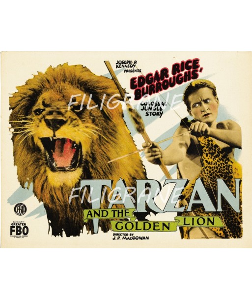 CINéMA TARZAN and the GOLDEN LION Reij-POSTER/REPRODUCTION d1 AFFICHE VINTAGE l'évolution des habitudes 