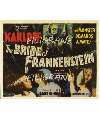 CINéMA THE BRIDE of FRANKENSTEIN Rjfw-POSTER/REPRODUCTION d1 AFFICHE VINTAGE les ligaments