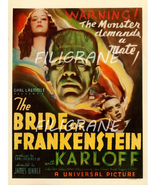 CINéMA THE BRIDE of FRANKENSTEIN Rqhf-POSTER/REPRODUCTION d1 AFFICHE VINTAGE Découvrez la collection