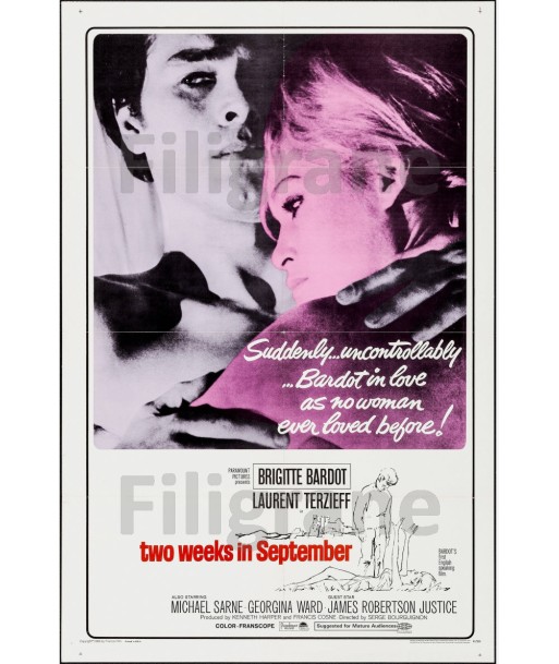 CINéMA TWO WEEKS in SEPTEMBER Rcxq-POSTER/REPRODUCTION d1 AFFICHE VINTAGE commande en ligne