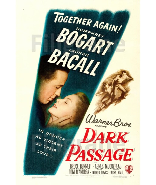 DARK PASSAGE FILM Rhgu-POSTER/REPRODUCTION d1 AFFICHE VINTAGE votre