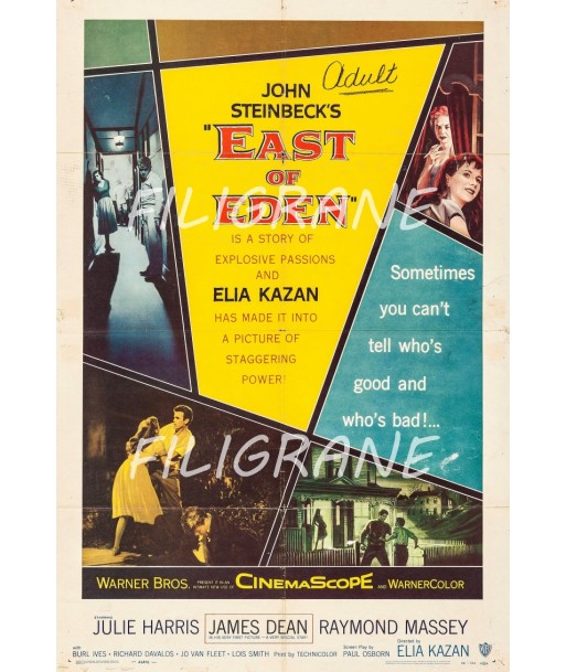 EAST of EDEN FILM Rozu-POSTER/REPRODUCTION d1 AFFICHE VINTAGE en stock