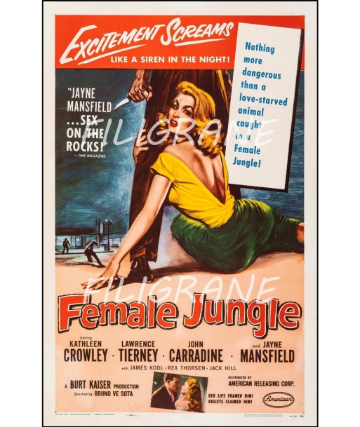 FEMALE JUNGLE FILM Rwjz-POSTER/REPRODUCTION d1 AFFICHE VINTAGE Comparez et commandez 