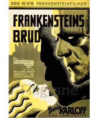 FRANKENSTEINS BRUD FILM Reyk-POSTER/REPRODUCTION d1 AFFICHE VINTAGE français