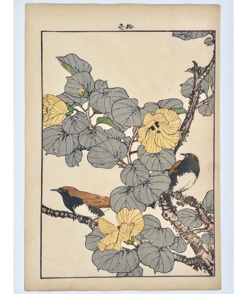 Estampe Japonaise de Keinen Imao | Oiseau et Hibiscus de Chine destockage