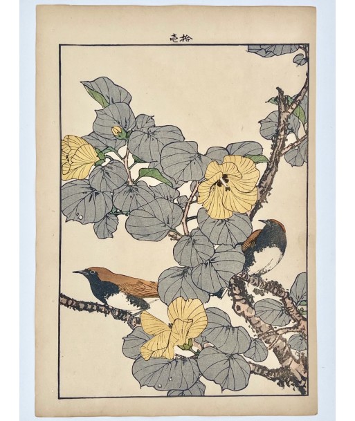 Estampe Japonaise de Keinen Imao | Oiseau et Hibiscus de Chine destockage