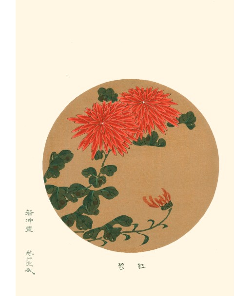 Chrysanthèmes Rouges de Jakuchu Ito | Reproduction Fine Art Livraison rapide