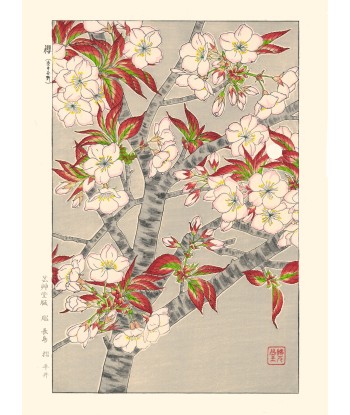 Cerisier en Fleurs de Kawarazaki Shodo | Reproduction Fine Art une grave pollution 