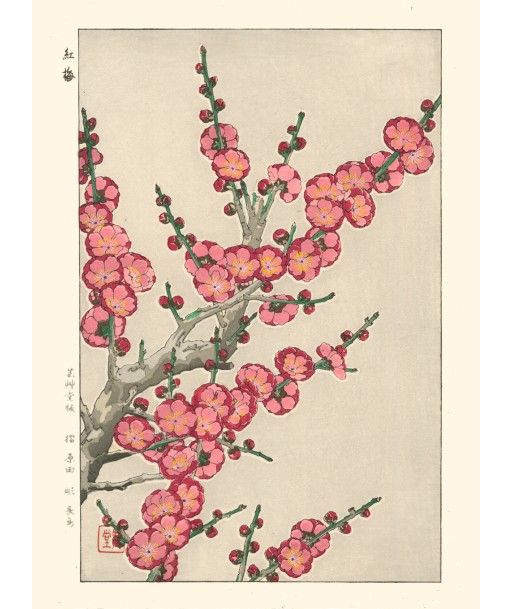 Fleurs de Prunier de Kawarazaki Shodo | Reproduction Fine Art à prix réduit toute l'année